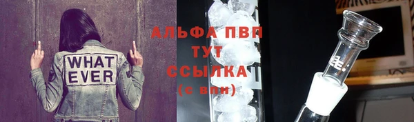 PSILOCYBIN Белоозёрский