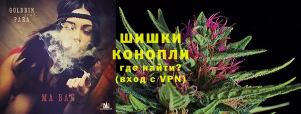 PSILOCYBIN Белоозёрский