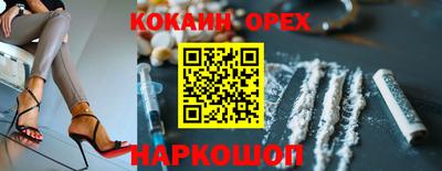 прущие грибы Можга