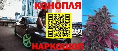 прущие грибы Можга