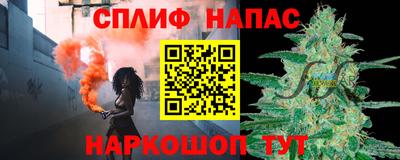 СК Моздок