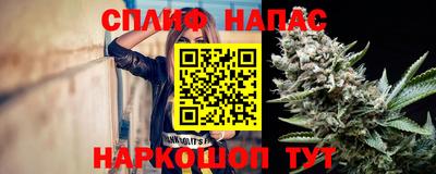 прущие грибы Можга
