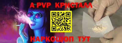 СК Моздок