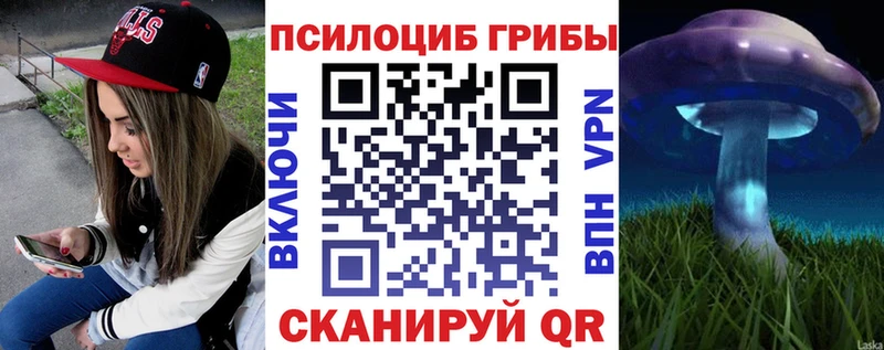 hydra как войти  магазин    Бузулук  Псилоцибиновые грибы прущие грибы 