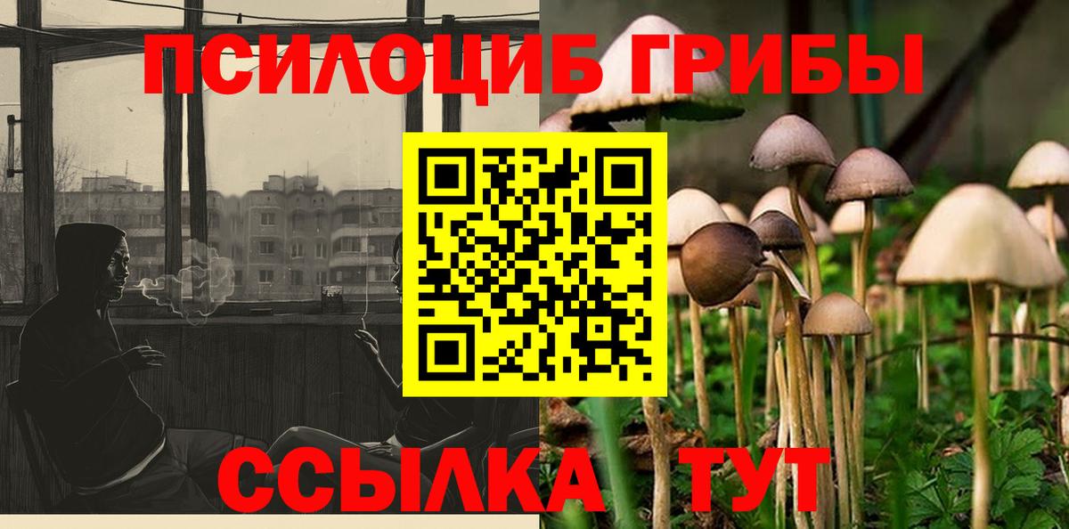 Бузулук  Галлюциногенные грибы Psilocybe  Вход с VPN 