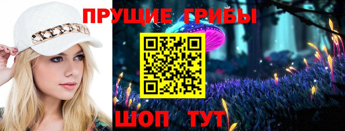 Псилоцибиновые грибы Psilocybine cubensis Бузулук